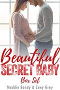Beautiful Secret Baby Romance Series by Zoey Grey