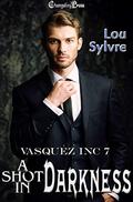 A Shot in Darkness (Vasquez Inc. #7) by Lou Sylvre
