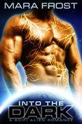 Into The Dark by Mara Frost