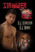 Stranger Rice by A.J. Llewellyn