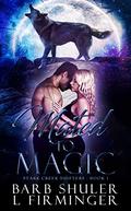 Mated To Magic (Stark Creek Shifters #1) by Lauren Firminger