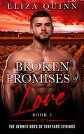 Broken Promises of Love (The Verner Boys of Vineyard Springs (Small Town Brothers Romance) Book 2) by Eliza Quinn