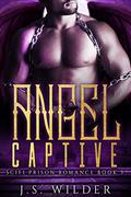 Angel Captive (SciFi Prison Romance #3) by J.S. Wilder
