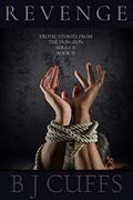 Revenge: An Erotic BDSM Story (Erotic Stories From The Dungeon Series II #2) by B.J. Cuffs