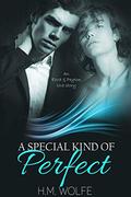A Special Kind of Perfect by Evera Ellis