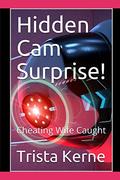 Hidden Cam Surprise!: Cheating Wife Caught (Inebriated Indiscretions #1) by Trista Kerne