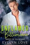 Enflamed Billionaire: Ropes of Pleasure (Alpha Billionaire Boss Romance #2) by Evelyn Love