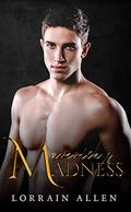 Maverick's Madness by Lorrain Allen