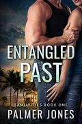 Entangled Past: Family Ties by Palmer Jones