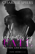 Soulmates by Fate: Fate 1-4 (Fate series bundles #1) by Nancy Henderson