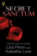 Secret Sanctum (Heroes and Villains #3) by Liza Penn