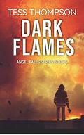 Dark Flames: Angel Falls Series Book 5 by Judi Thompson