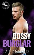 Bossy Burglar: A Hero Club Novel by A.J. Norris
