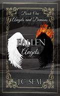 Fallen Angels  (Angels and Demons, Book one) by J.C. Seal