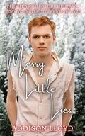 Merry Little Lies  (The Heart of the Holidays: A Stand Alone Gay YA Series) by Addison Lloyd