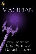 Magician (Heroes and Villains #4) by Liza Penn