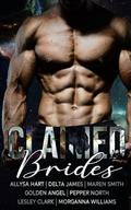 Claimed Brides: Seven Alpha Shifter Romances (Brides of Terra Arcus #2) by Lesley Clark