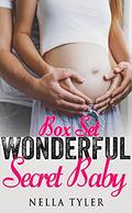 Wonderful Secret Baby Romance Series by Nella Tyler