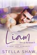 Liam (Love at the Haven #4) by Stella Shaw