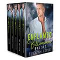 Enflamed Billionaire: Box Set by Evelyn Love