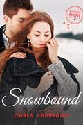 Snowbound (Discovered by Love #3) by Carla Laureano