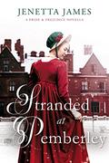 Stranded at Pemberley  ('Tis the Season Collection) by Jenetta James