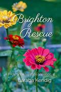 Brighton Rescue: A Pride and Prejudice Variation by Laraba Kendig