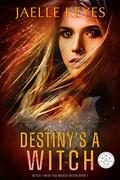 Destiny's A Witch: A Steamy Dystopian Fantasy Romance (Witch I Wish You Would Origin #1) by Jaelle Keyes