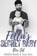 Fella's Secret Baby Romance Series Box Set by Zoey Grey