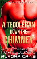 A Tedoleran down the Chimney (Tedoleran Christmas #2) by Nova Edwins