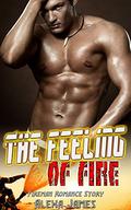 The Feeling of Fire: Fireman Romance Story by Alexa James