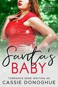 Santa's Baby (Horny Holidays #1) by Torrance Sené