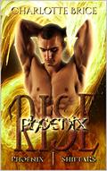 Phoenix Rise by Charlotte Brice