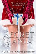 Secret Santa by Rayne Elizabeth