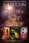 Witches of Night Meadow - Books 1-3 by V. Vaughn