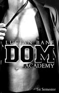 White Knight Dom Academy: The Beginning by Lucian Bane