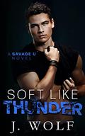 Soft Like Thunder by Julia Wolf