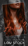 Where is Amber  (A Before Us... There was Him Companion  Novella) by Lou Stock