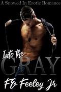 Into the Gray (The Color of Love #1) by F.E. Feeley Jr.