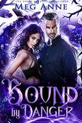 Bound by Danger by Meg Anne