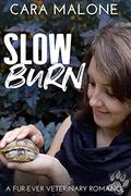 Slow Burn: A Multi-generational Second Chance Romance by Cara Malone