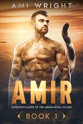 Amir by Ami Wright