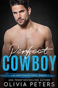 Perfect Cowboy (The Game Changer #3) by Olivia Peters
