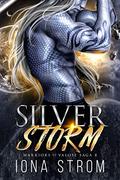 Silver Storm (Warriors of Valose Saga #8) by L.S. Anders