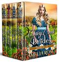 Daisy Creek Brides: Books 9-12 (Daisy Creek Brides Collection #3) by Amelia Rose