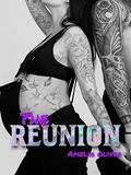 The Reunion: Calico & Stone book 5 by Amelia Oliver