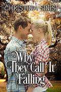 Why They Call It Falling by Christina Sinisi