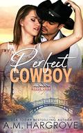 Perfect Cowboy (Mason Creek #25) by A.M. Hargrove