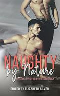 Naughty by Nature: A Gay Erotica Anthology by Julia Talbot