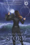 Into The Storm by Katie Richard